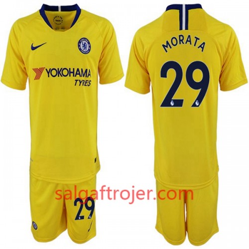 Chelsea Fodboldtrøjer Alvaro Morata 29 Børn Udebanesæt 2018/19 Kort ærmer Chelsea Fodboldtrøjer Alvaro Morata 29 Børn Udebanesæt 2018/19 Kort ærmer